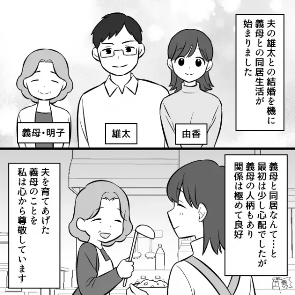 同居中の義母との関係も良好！→義母が“3人前”の【夕食メニュー】を用意してくれるが…義母「夕飯できてるわよ！」嫁「え…？」