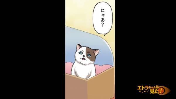 「そのケースの中、猫ちゃんですか？」突然話しかけてきた女性？ケースの中の猫を見ると…→「…うそ」驚きの表情を浮かべた？