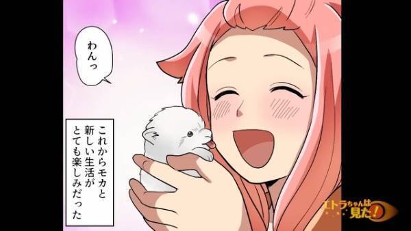 犬を飼い始めた夫婦…ある日「うわっ何だこれ！？」→家を出た瞬間、まさかの光景を目撃し絶句！！