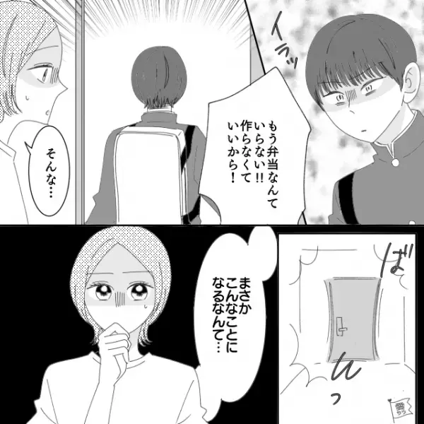 【思春期の息子】少しでも喜んでほしくて…お弁当のおにぎりを“野球ボール風”にしてみたら⇒息子の反応に…母「こんなことになるなんて」