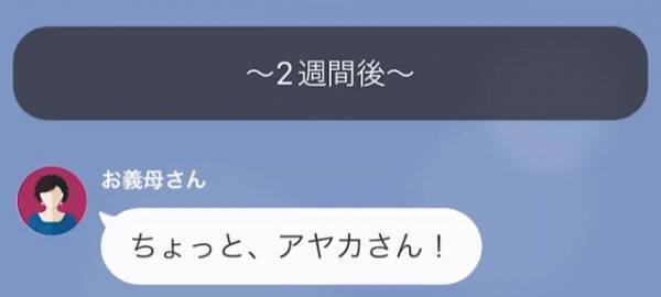 義母「孫ちゃんがいない！誘拐でもされたのかしら…」義実家で過ごしていたはずの息子…→次の瞬間、嫁から【衝撃の事実】を告げられ！？
