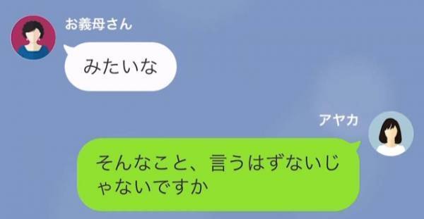 義母「孫ちゃんがいない！誘拐でもされたのかしら…」義実家で過ごしていたはずの息子…→次の瞬間、嫁から【衝撃の事実】を告げられ！？