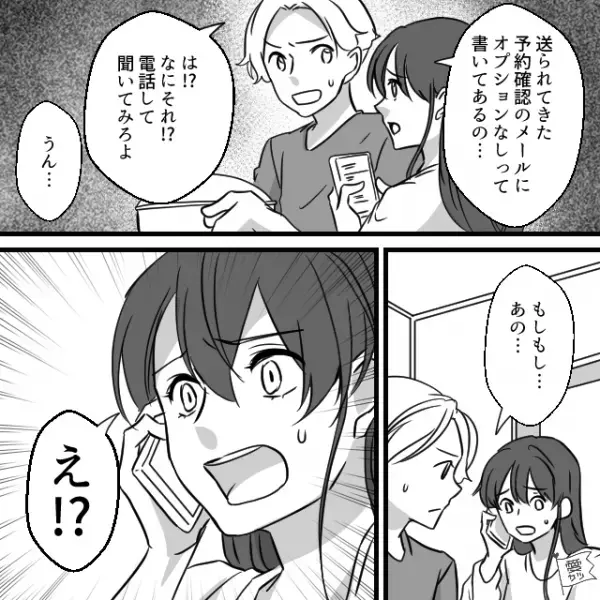 旅行の予約で”オプション”をつけたのに…客「なしになってる…？」電話で確認した結果…→店員の【ありえない対応】に絶句…