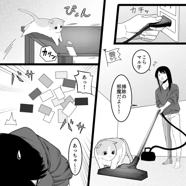 【ペットが暴いたのは…夫の秘密】散らばったカードを拾うと…「会員証…まさか！」⇒浮気する男性の見分け方って？