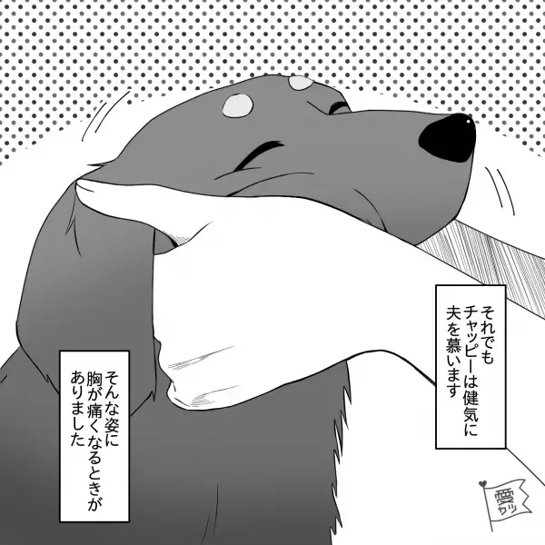 『ねぇ犬飼おうよ！』夫の提案で犬を迎え入れたが…⇒妻「一緒に散歩行こう」夫「めんどくさい」さらに後日”モヤっと”する出来事が…？