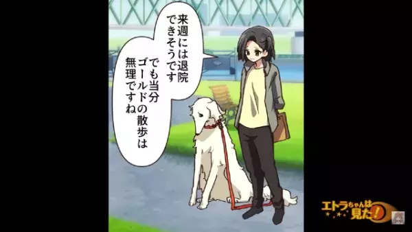 “飼い犬と散歩中”に大怪我！？犯人「轢いてやろうと思った」次の瞬間⇒犯人が続けた“言葉”に驚愕！？