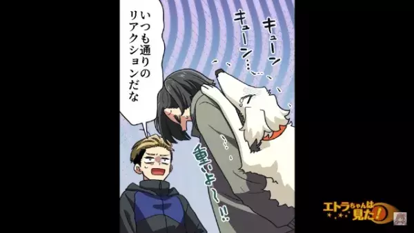 “飼い犬と散歩中”に大怪我！？犯人「轢いてやろうと思った」次の瞬間⇒犯人が続けた“言葉”に驚愕！？