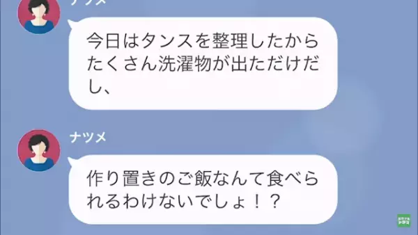 『6品もの作り置き』を捨てられ【息子を奪った猫泥棒】呼ばわり！？怒りが募った嫁は…＜嫁いびり義母にお仕置きした結果＃4＞