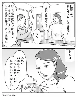 「女の人よ？」義母から“夫の浮気をほのめかす”連絡が。しかし、嫁が浮気調査を始めると…⇒義母の困った言動への対処法