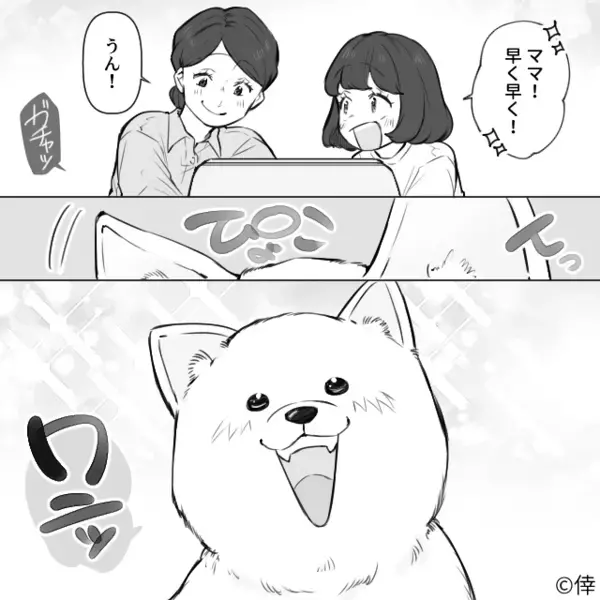 我が家の光熱費…突然”2万円”も高くなった。後日、ペットカメラが抑えた”衝撃映像”で原因発覚し…