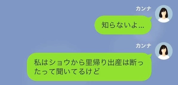 「グリーン車予約しといて♡」臨月の義妹が“里帰り出産”を独断！？しかし後日、他人任せの義妹が青ざめたワケは…