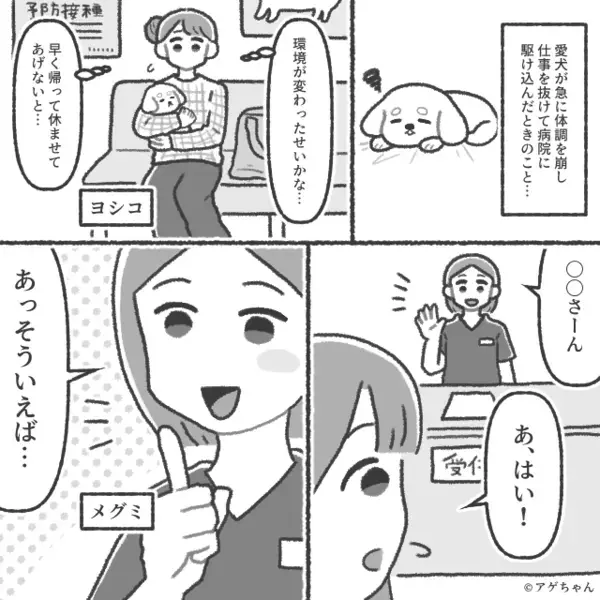 獣医「旦那さん、妹と仲よしですね」妻「夫に妹はいない…」動物病院に行ったことが“仇”となった話。