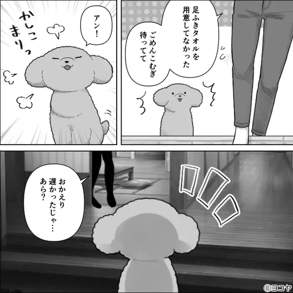 嫁の愛犬を毛嫌いする義母。同居後…嫁の目を盗み与えた“ご褒美”が、恐ろしい【悲劇】を招いた話