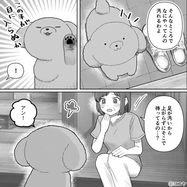 嫁の愛犬を毛嫌いする義母。同居後…嫁の目を盗み与えた“ご褒美”が、恐ろしい【悲劇】を招いた話