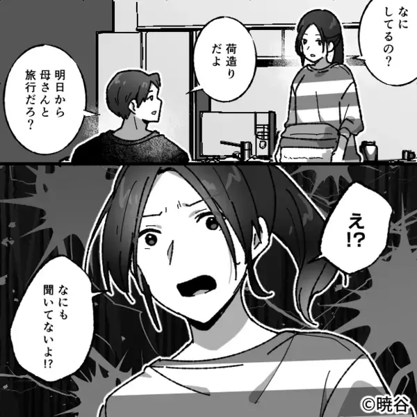 嫁は除外で、義母が旅行ツアーを予約。夫も知らんぷり！？出発前日⇒妻「ねぇ…」告げた言葉に…夫は顔面蒼白！？