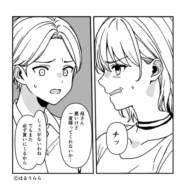 生まれたばかりの子を「跡継ぎだから」奪おうとする義母！？さらに夫「実は…」⇒背筋が凍りつく【計画】が隠れていた話