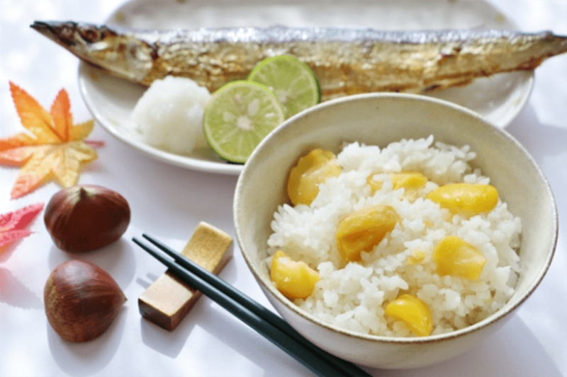 タイガー炊飯器のおすすめ12選！内釜の種類と加熱方式で選ぶ｜excite  