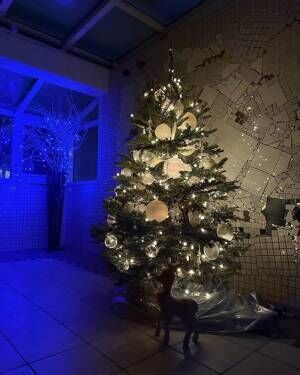 神田うの、テラスに新しく設置し娘が大喜びしたクリスマスツリー「破損させてしまったとかで」
