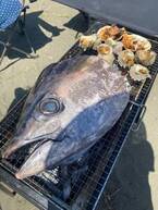 原田龍二の妻、BBQで堪能したとても美味しくて凄い食材「魚介類はいつも茅ヶ崎の魚卓さんです」