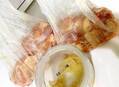 渡辺美奈代、1.5kgの鶏肉を使い作った料理を公開「我が家の定番になりました」