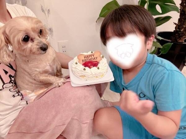 辻希美、愛犬の誕生日に長男が買ってきたもの「持病があったりして大変な事も多々ありますが」