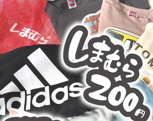 『しまむら』で驚愕した値下げ品「220円かなりたくさんあった！！」