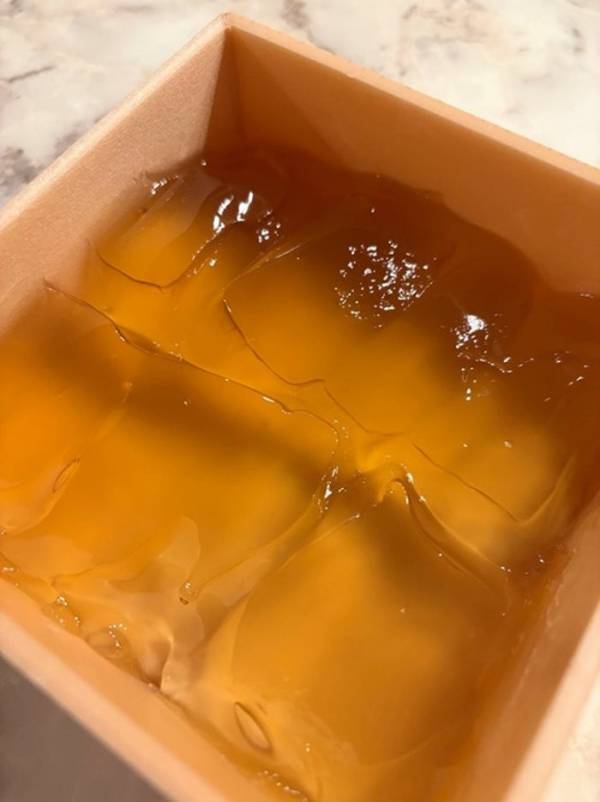 藤あや子、京都の和スイーツを堪能「弾力があって喉ごしがGOOD」