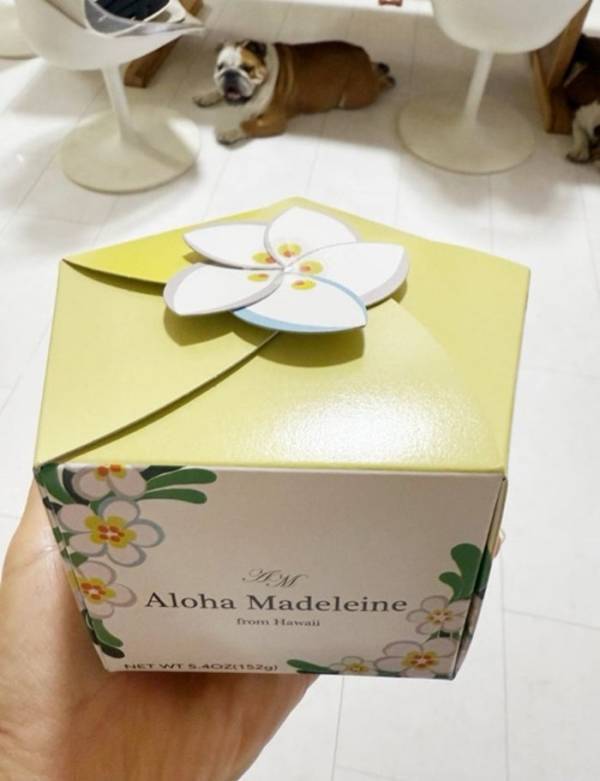 北斗晶「中身も凄く可愛い」イチオシのハワイ土産を紹介「皆さんに喜んでもらえる」