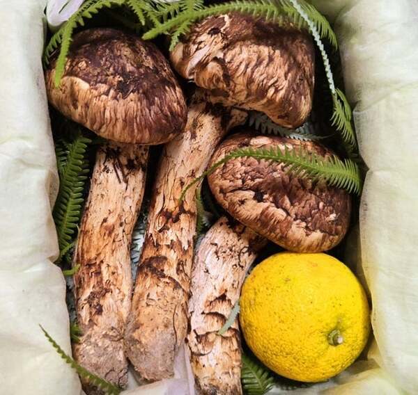 高橋英樹、頂いた立派な松茸で豪華な夕食「チョ～～贅沢な昨夜の晩ごはん」