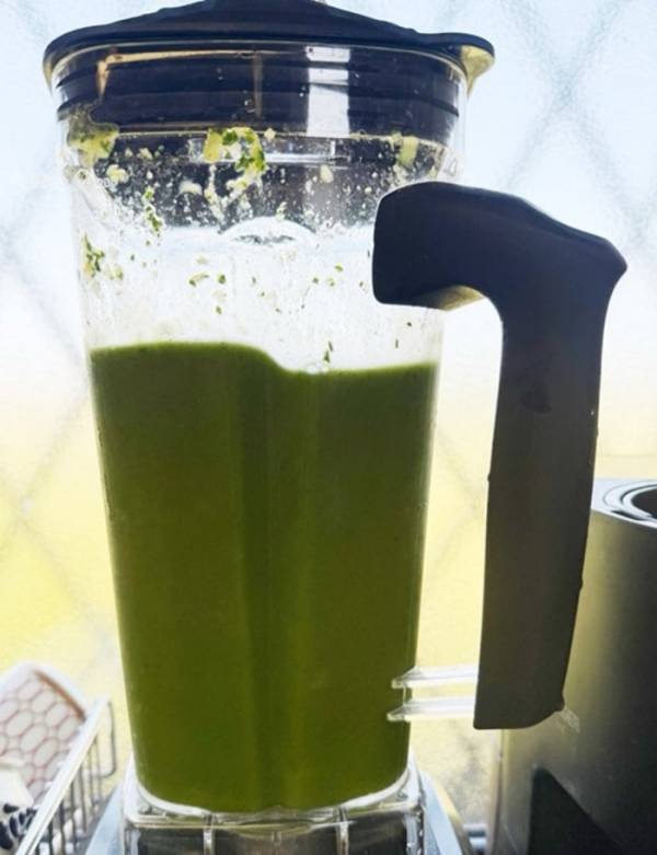 北斗晶、愛犬にもあげている手作りスムージーを紹介「もう、飲み終えてました」