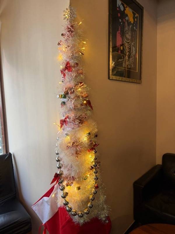 川崎麻世、妻の店に100均グッズでクリスマスツリーを手作り「凄いと褒められました」