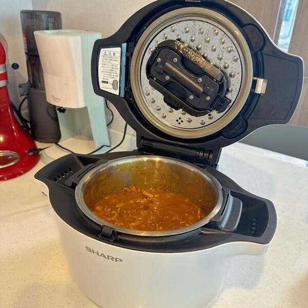 小倉優子、バタバタな日に作った夕食「便利ですね」「美味しそう」の声