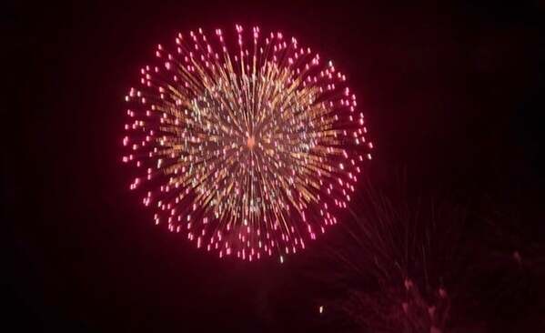 藤あや子、10年ぶりの花火大会で大興奮「鮮やかな色に感動しました」