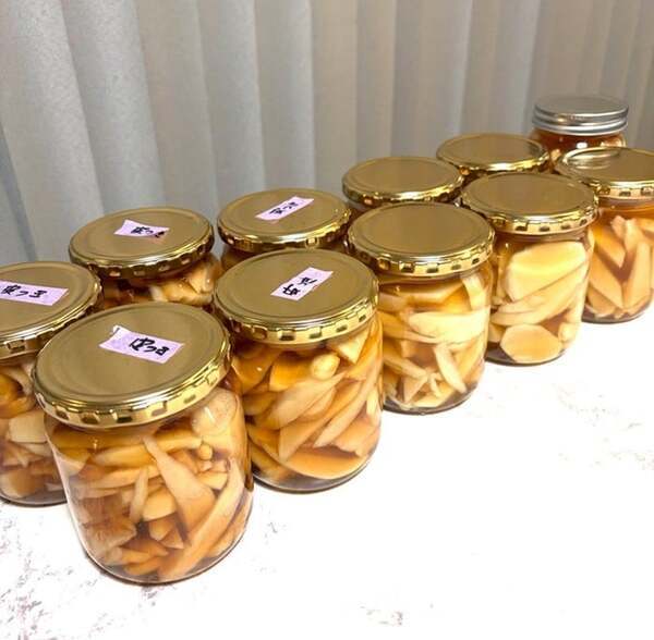 藤あや子、2kgの新生姜で甘酢漬けを手作り「ワンオペですごい速さで製作」