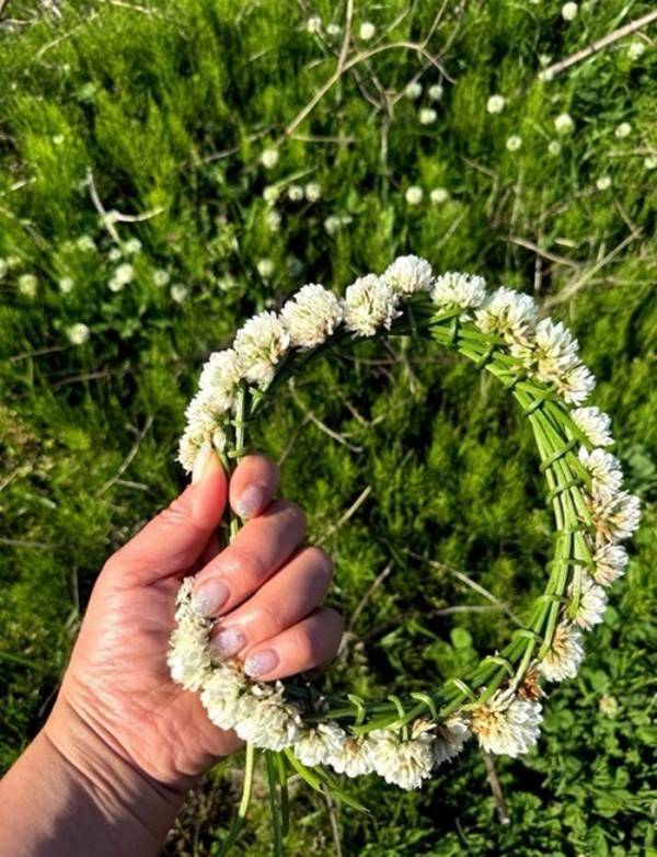 北斗晶、亡き愛犬へシロツメクサの花冠「いつでも花ちゃんの事を思ってるよ～」