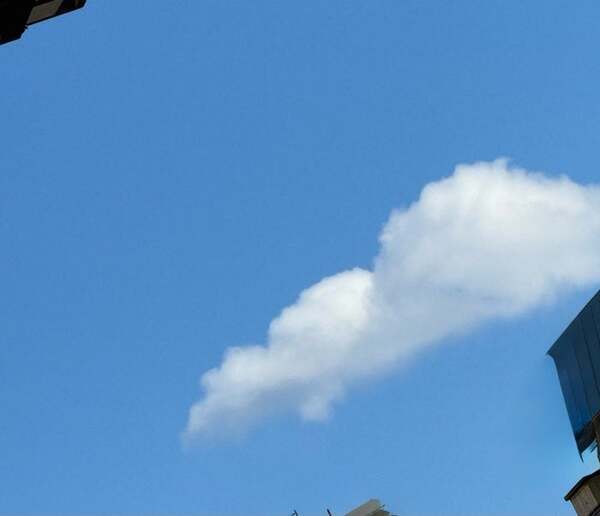 堀ちえみ、大学病院での検査結果を報告「進化しているんだ！と信じてやっていく」