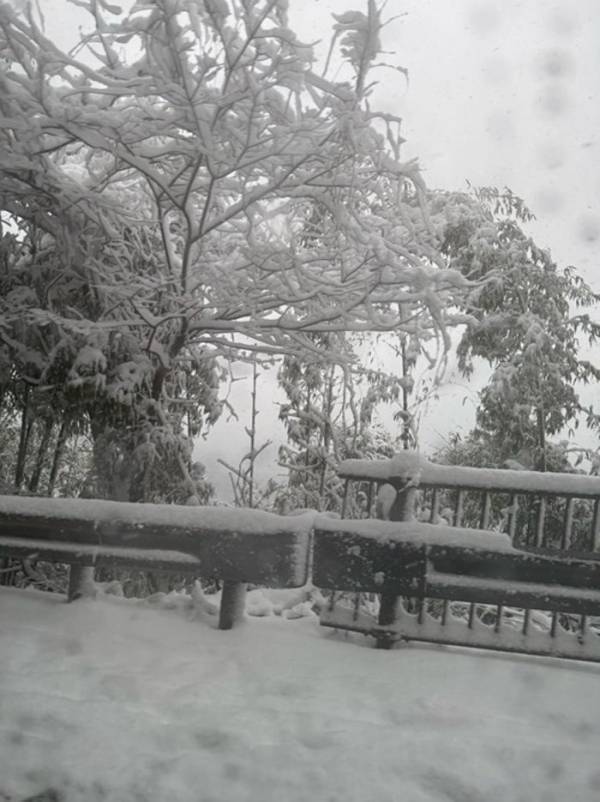 大雪で約4時間立ち往生し帰宅を断念「正直かなり途中から恐怖でした」