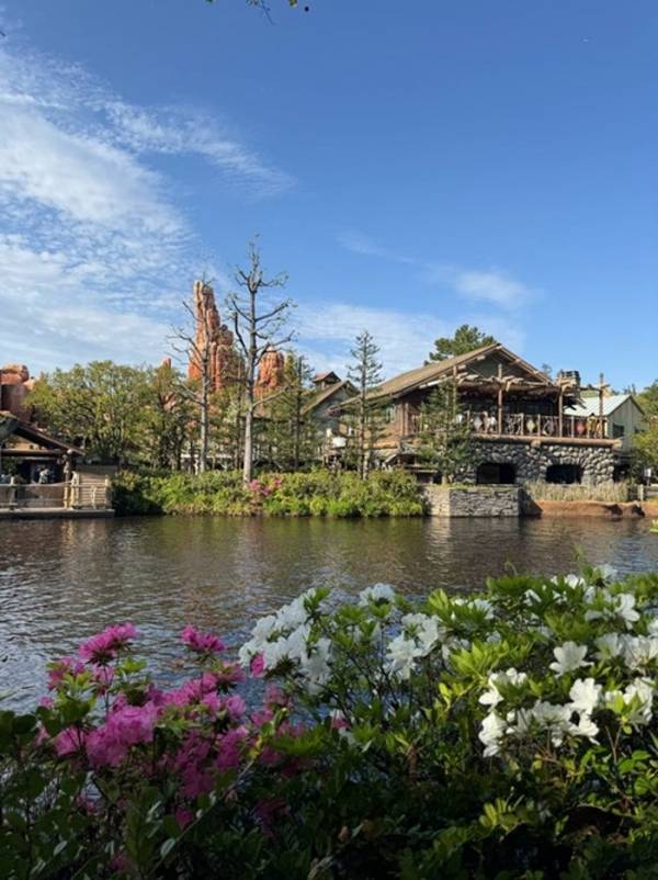 料理研究家・桜井奈々、ノープランで訪れたTDLで新たな発見「こんな楽しい島を知らずに」