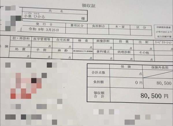 だいたひかる、歯の矯正治療費を告白「1回の支払いが…80,500円なり」
