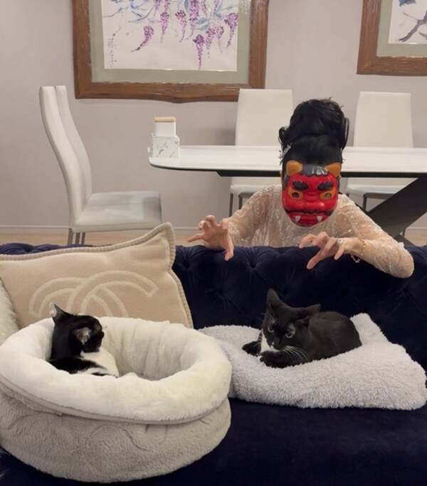 藤あや子、節分に鬼になりきるも愛猫は不思議顔「何してんの？」