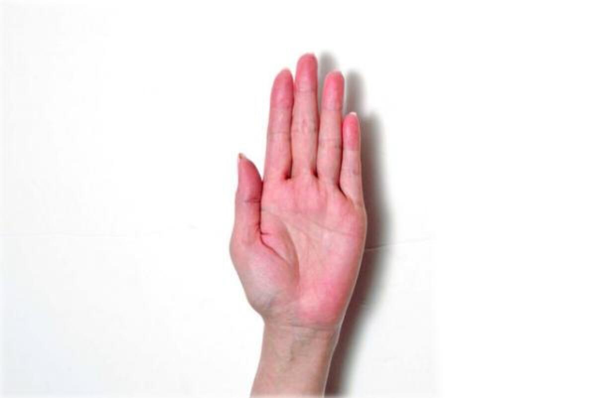 [最も選択された] 指が長い女性 489891指が長い女性 性格
