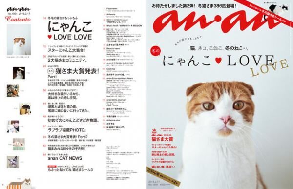 anan「冬のにゃんこLOVELOVE」特集。表紙のスター猫、レオンさんの撮影の裏側は？！