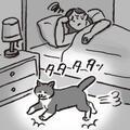 猫の寝かしつけ、どうすればいい？　獣医「日中運動させて」