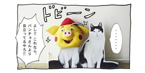 【猫写真４コママンガ】パンチョとガバチョ 「めだってなんぼ」＃55
