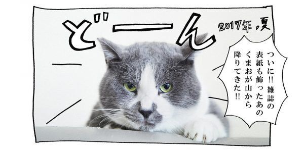 【猫写真４コママンガ】「豪華ゲスト！のイベント告知」パンチョとガバチョ ＃58