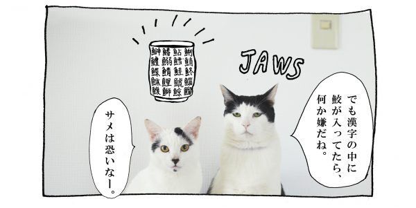 【猫写真４コママンガ】「魚偏」パンチョとガバチョ ＃63