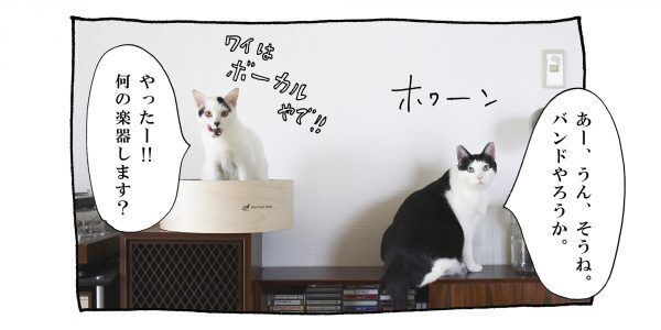 【猫写真４コママンガ】「バンド」パンチョとガバチョ ＃66