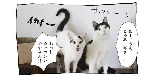 【猫写真４コママンガ】「バンド」パンチョとガバチョ ＃66