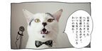 【猫写真４コママンガ】「中の上」パンチョとガバチョ ＃67