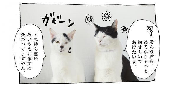 【猫写真４コママンガ】「さしすせそ」パンチョとガバチョ ＃71